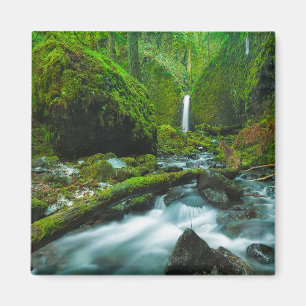 Wasserfälle Grotto Falls, Oregon Magnet