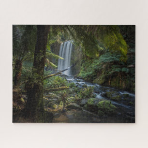 Wasserfälle   Hopetoun Falls, Neuseeland