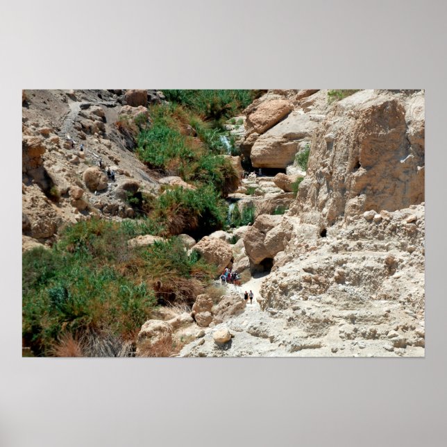 Wasserfälle im Ein Gedi in der Juden Wüste, Israel Poster (Vorne)