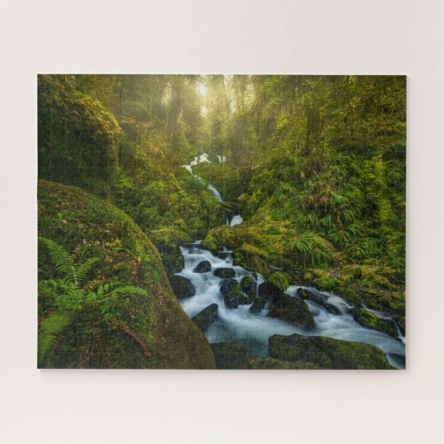 Wasserfälle | Olympic National Park, Washington (Horizontal)