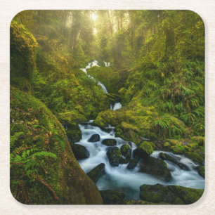 Wasserfälle   Olympic National Park, Washington Rechteckiger Pappuntersetzer