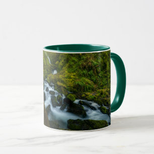 Wasserfälle   Olympic National Park, Washington Tasse
