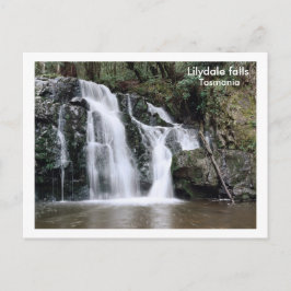 Wasserfälle von Lilydale, Tasmanie Postkarte