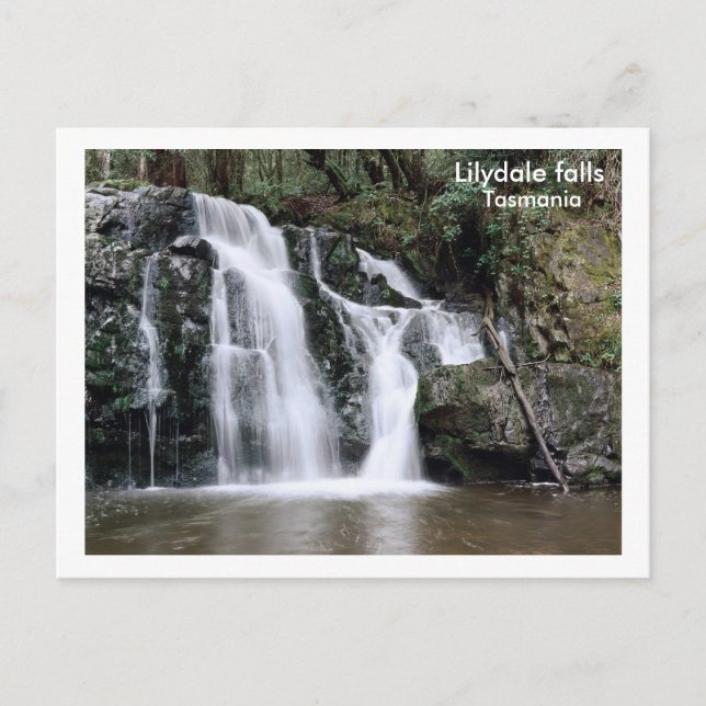 Wasserfälle von Lilydale, Tasmanie Postkarte (Vorderseite)