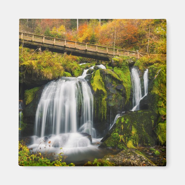 Wasserfälle | Wasserfälle Triberg, Deutschland Magnet (Vorne)