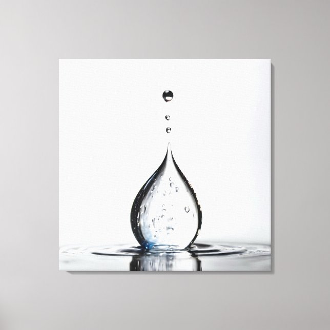 WasserfallmakMakro Leinwanddruck (Vorderseite)