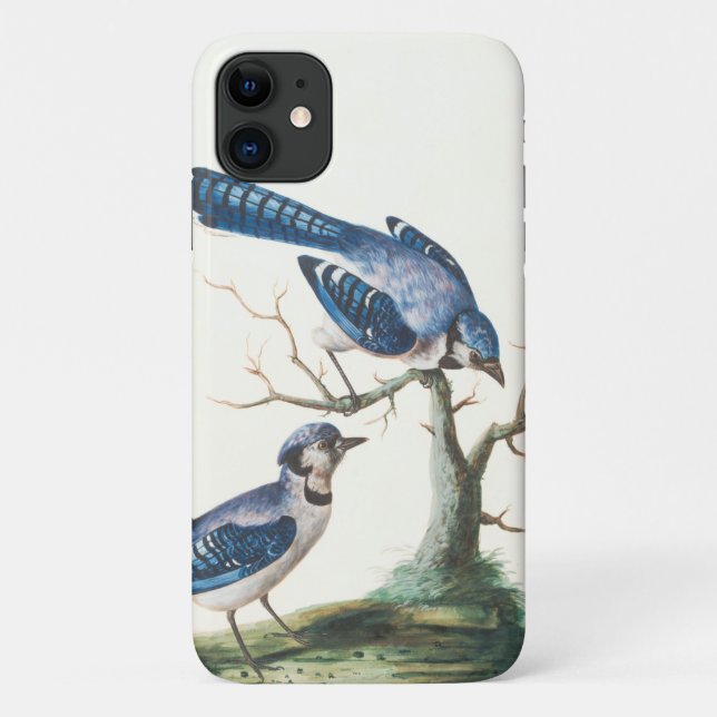 Wasserfarbe Blau Jay Vögel Kunst Case-Mate iPhone Hülle (Rückseite)