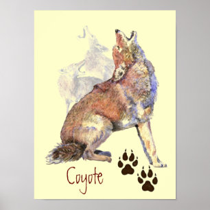 Wasserfarbe Howling Coyote Poster