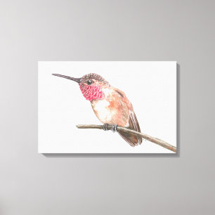 Wasserfarbe Hummingvogel Leinwanddruck