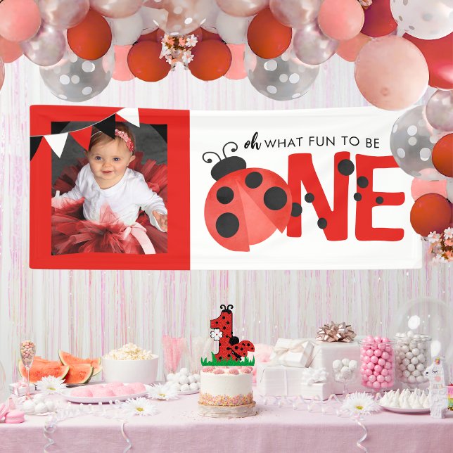 Wasserfarbe Ladybug Oh, was Spaß ein Foto Party Banner (Oh What Fun to Be ONE Watercolor Ladybug Hanging Photo Birthday Vinyl Banner)