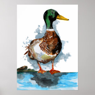 Wasserfarbe Mallard Ente Poster