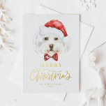 Wasserfarbe Niedlich Maltesisch Weihnachtsfest Folien Feiertagspostkarte<br><div class="desc">Frohe Weihnachten! Senden Sie Ihre Urlaubswünsche mit dieser individuell gestaltbaren Weihnachtspostkarte an Familie und Freunde. Es hat einen maltesischen Aquarellhund mit einer Weihnachtsmannmütze. Personalisieren Sie diese Weihnachtskarte mit Goldfolie,  indem Sie Ihre Details hinzufügen. Diese maltesische Weihnachtskarte ist auf anderen Cardstock erhältlich. Matching-Elemente sind verfügbar.</div>