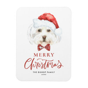 Wasserfarbe Niedlich Maltesisch Weihnachtsfest Magnet