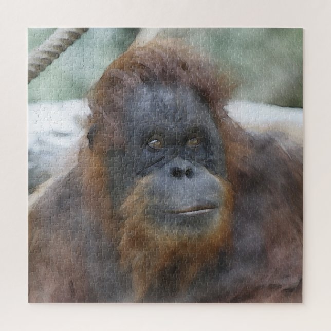 Wasserfarbe Orang (Vertikal)