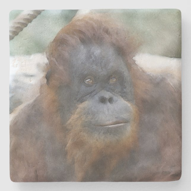 Wasserfarbe Orang Steinuntersetzer (Vorderseite)