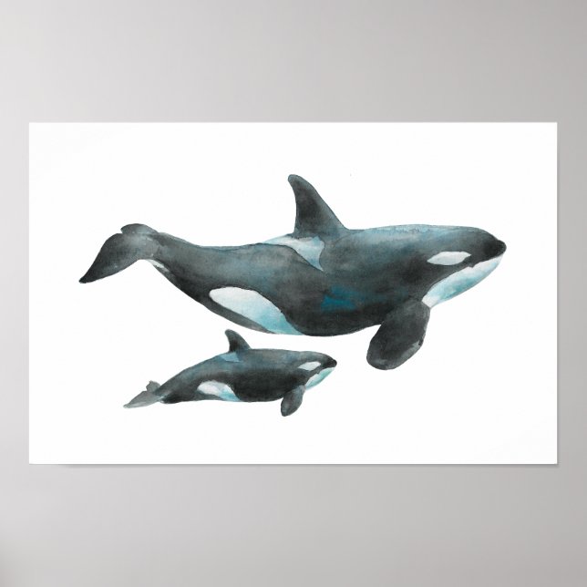 Wasserfarbe-Orca-Mutter-und-Baby-Plakat Poster (Vorne)