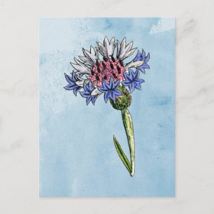 Wasserfarbe Postkarte