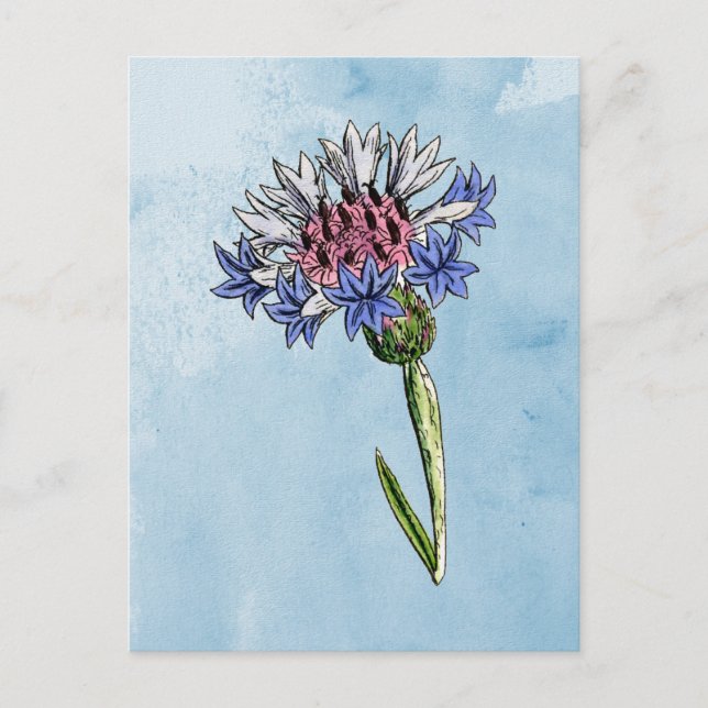 Wasserfarbe Postkarte (Vorderseite)