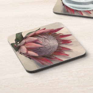 Wasserfarbe Protea Getränkeuntersetzer
