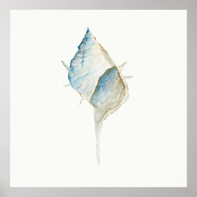 Wasserfarbe Seashell Poster (Vorne)