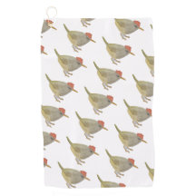 Wasserfarbe Songbird Mountain Tailorbird