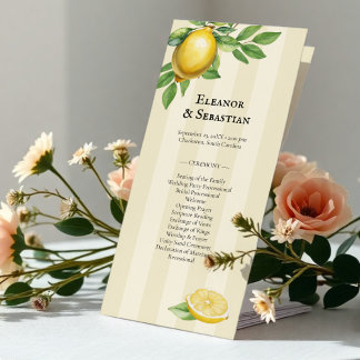 Wasserfarbe Zitrusfrüchte Rustikale Hochzeitsprogr Menükarte