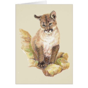 Wasserfarben-Puma, Löwenleder