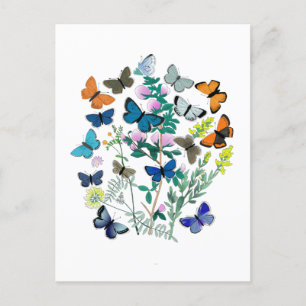 Wasserfarben-Schmetterlinge Blume Frühjahr Sommer Postkarte