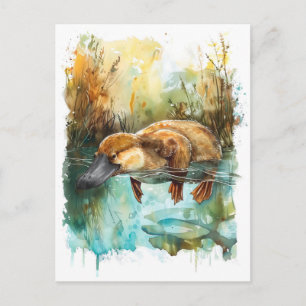 Wasserfarben Schnabeltier schwimmt im Teich Postkarte