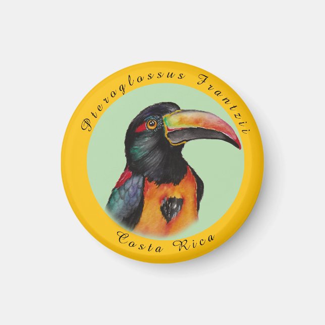 Wasserfarbenberührer Magnet (Vorne)