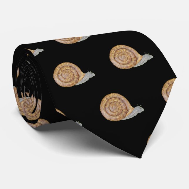 Wasserfarbene Schnecke Krawatte (Gerollt)