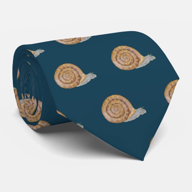 Wasserfarbene Schnecke Krawatte (Gerollt)