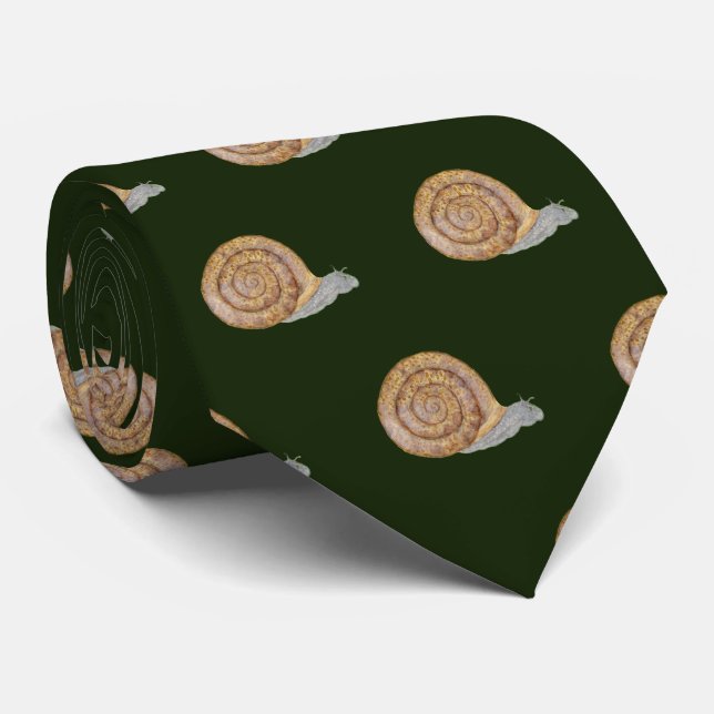 Wasserfarbene Schnecke Krawatte (Gerollt)