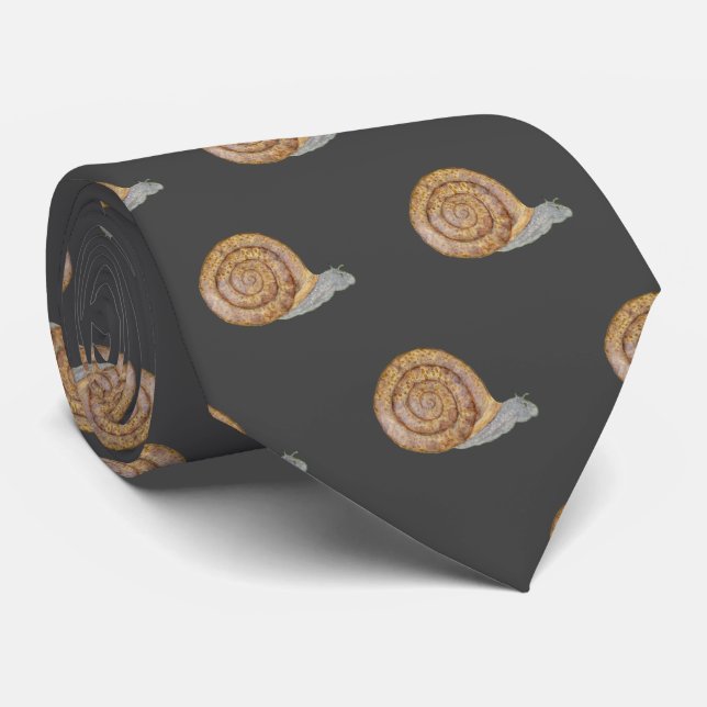 Wasserfarbene Schnecke Krawatte (Gerollt)