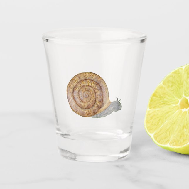 Wasserfarbene Schnecke Schnapsglas (Vorderseite)