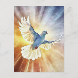 Wasserfarbene weiße Flying Dove Postkarte