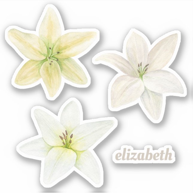 Wasserfarbene weiße Lilie. Garten Blume. Floral Aufkleber (Vorderseite)
