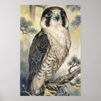 Wasserfarbener Falke - Raubvogel Japanische Wandku