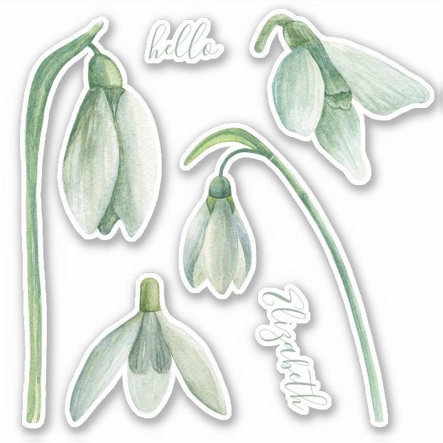 Wasserfarbener Schneefall. Frühlingsblumen. Blumen Aufkleber (Vorderseite)