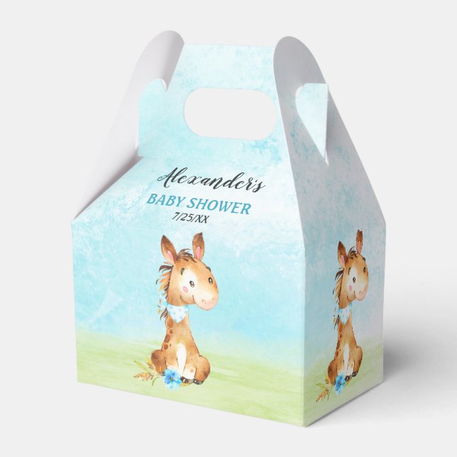 Wasserfarbenjunge Pferdeschwulstdusche Geschenkschachtel (Vorderseite)