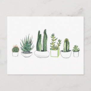 Wasserfarbenkakteen und Sukkulturen Postkarte
