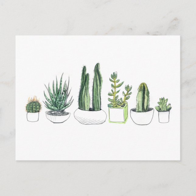 Wasserfarbenkakteen und Sukkulturen Postkarte (Vorderseite)