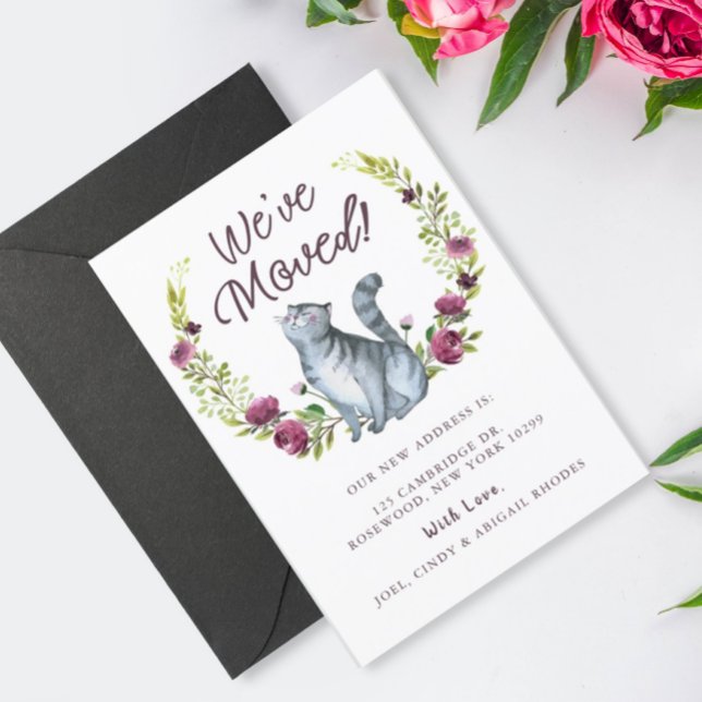 Wasserfarbenkatze Wir haben die Ankündigung versch (Von Creator hochgeladen)