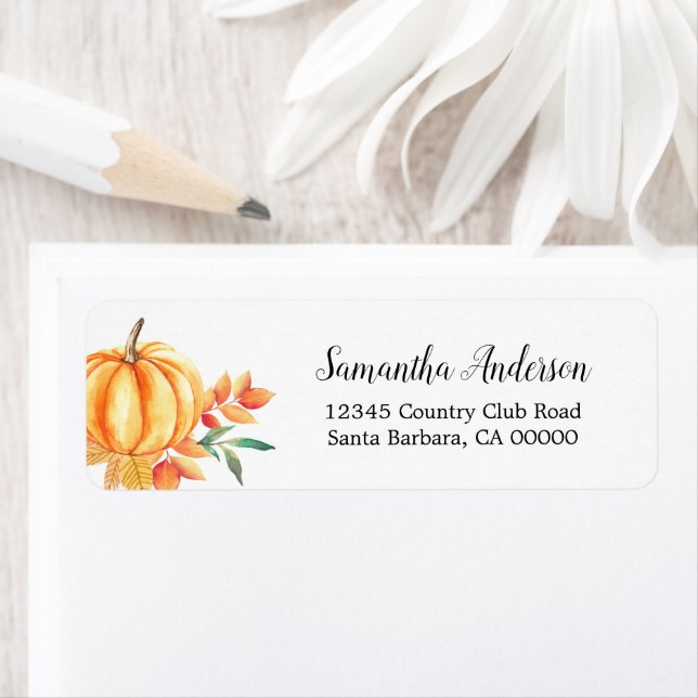 Wasserfarbenkürbis Orange-Herbstlaub (Insitu)