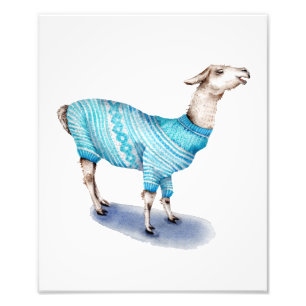 Wasserfarbenlama in blauem Pullover Fotodruck