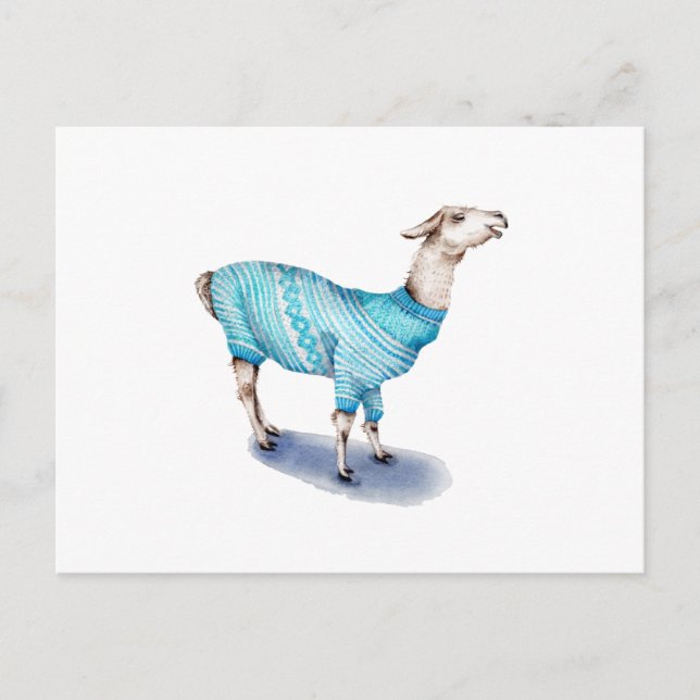 Wasserfarbenlama in blauem Pullover Postkarte (Vorderseite)