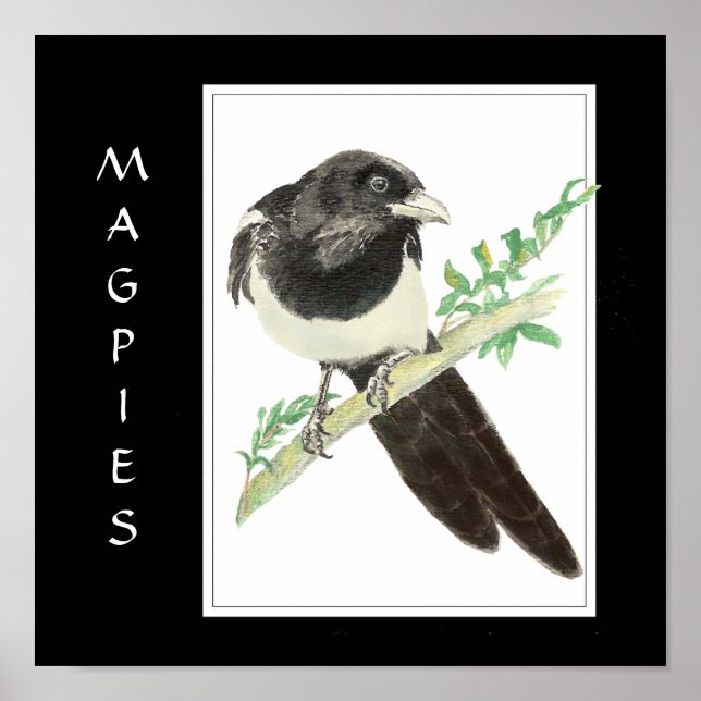 Wasserfarbenmagie bei Vögeln, Tiersammlung Poster (Vorne)