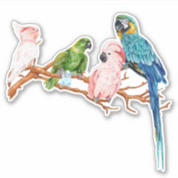 Wasserfarbenparrots Macaw Cockatoo Parakeet