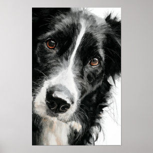 Wasserfarbenporträt eines Border Collies Poster