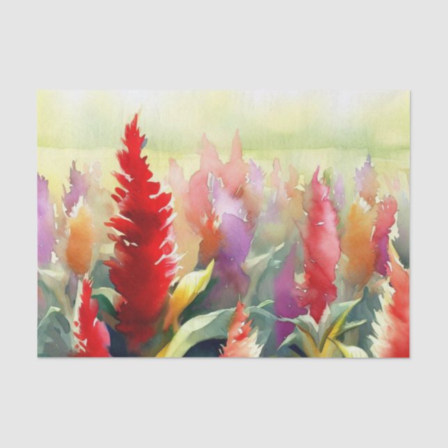 Wasserfarbfeld Blume-Celosia (C) Seidenpapier (Vorderseite)
